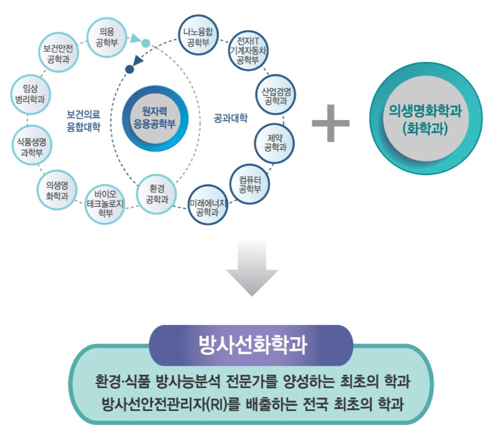 [공지]재학생이 말하는 방사선화학과