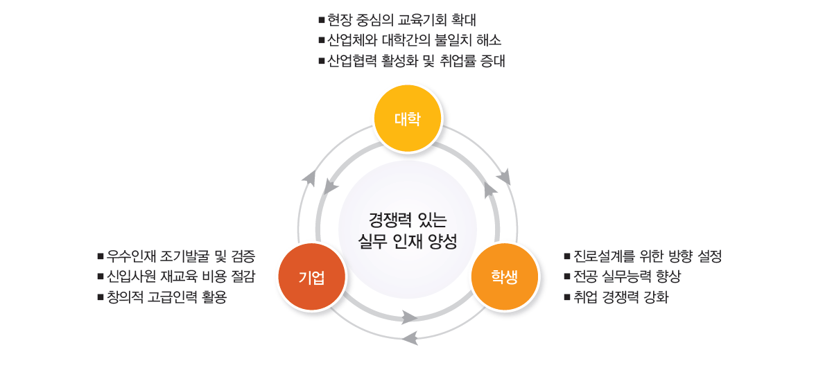 IPP형 일학습병행의 구성 및 특징